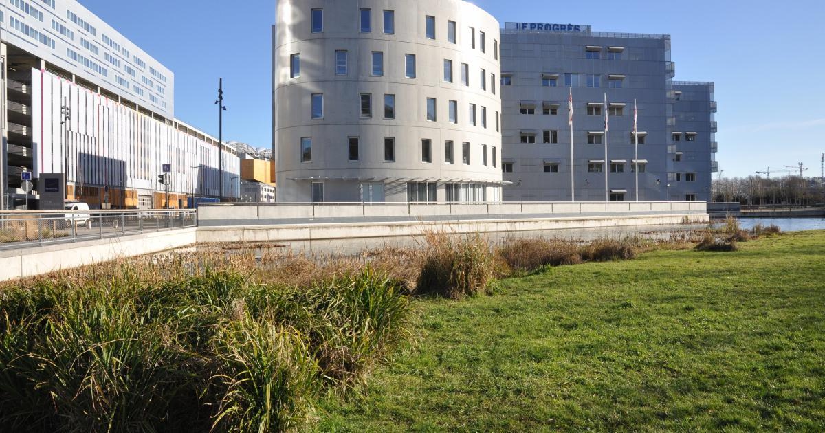 4 Rue Paul Montrochet 69002 Lyon Le Progrès | Lyon Confluence