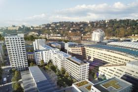 Albizzia (C2 Sud)